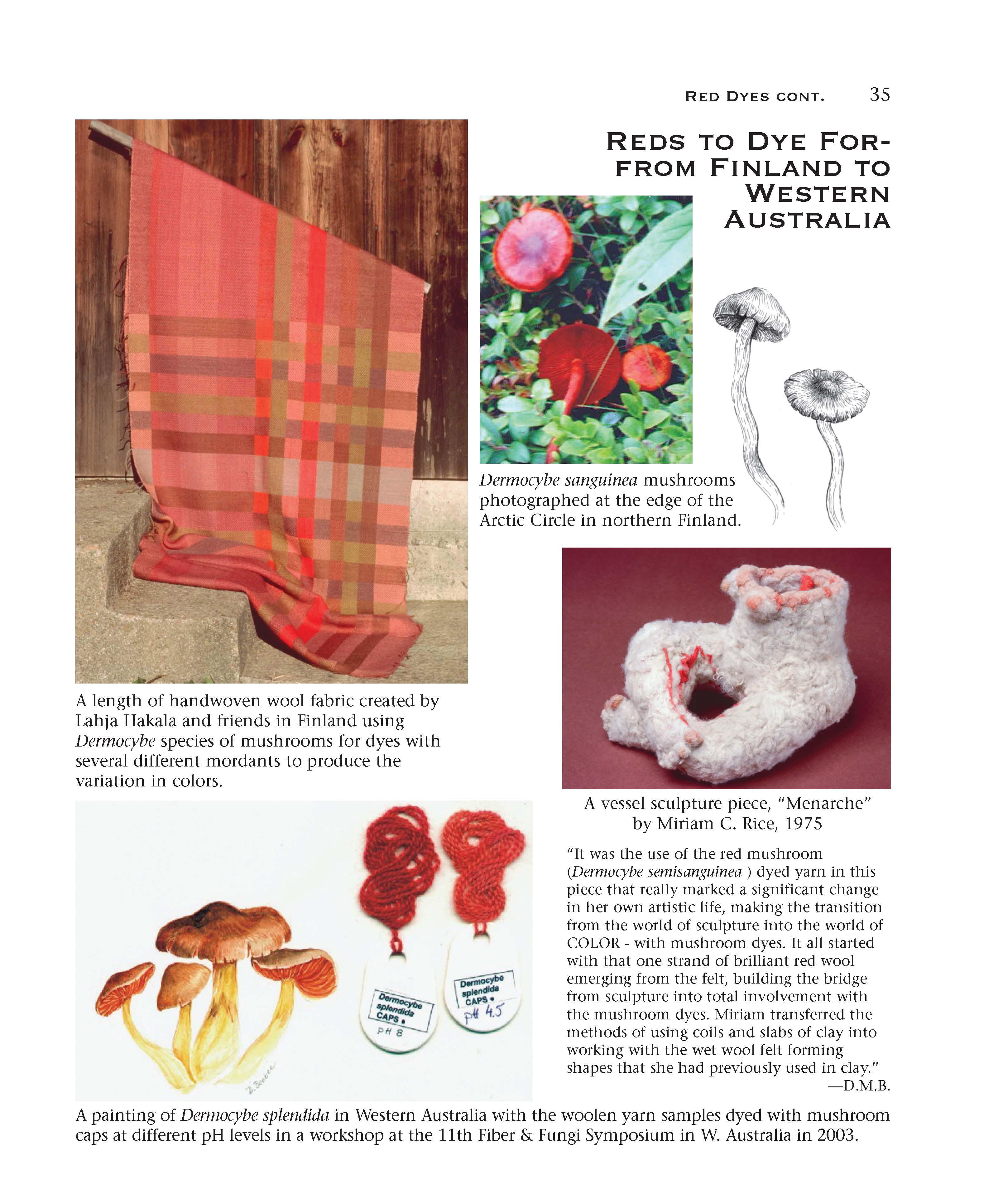 Mushroom Dyes - RAY AND MIRIAM RICE