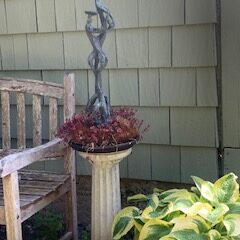 sculpture